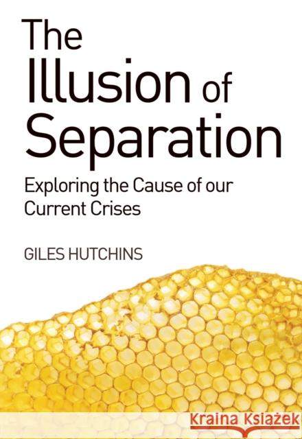 The Illusion of Separation: Exploring the Cause of our Current Crises Giles Hutchins 9781782501275 Floris Books - książka