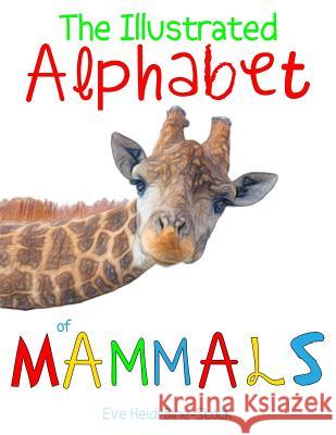 The Illustrated Alphabet of Mammals Eve Heidi Bine-Stock 9781720031543 Independently Published - książka