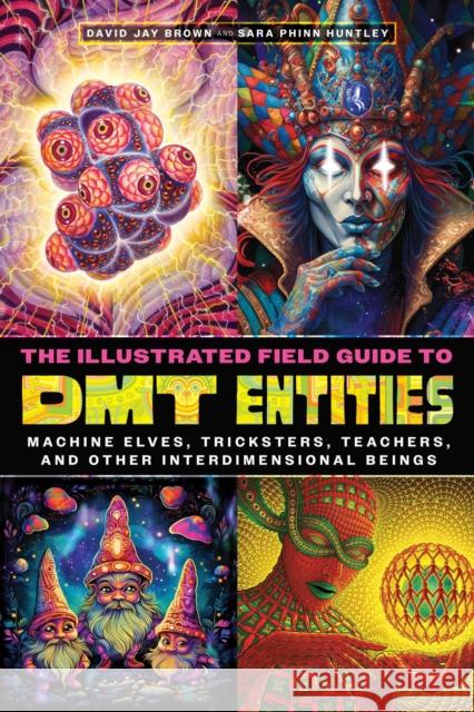 The Illustrated Field Guide to DMT Entities: Machine Elves, Tricksters, Teachers, and Other Interdimensional Beings Sara Phinn Huntley 9781644119198 Park Street Press - książka