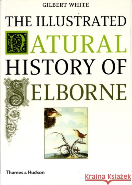 The Illustrated Natural History of Selborne Gilbert White 9780500284780 Thames & Hudson Ltd - książka