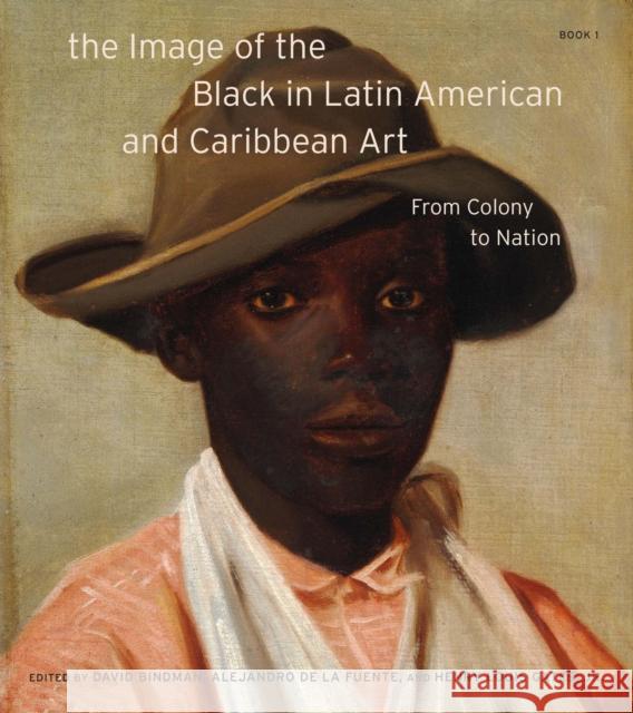 The Image of the Black in Latin American and Caribbean Art David Bindman Alejandro d Henry Louis Gates 9780674248861 Harvard University Press - książka