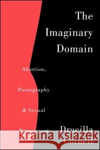 The Imaginary Domain: Abortion, Pornography and Sexual Harrassment Cornell, Drucilla 9780415911603 Routledge - książka