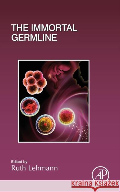 The Immortal Germline: Volume 135 Lehmann, Ruth 9780128097526 Academic Press - książka