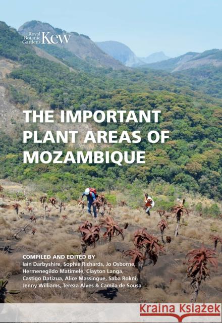 The Important Plant Areas of Mozambique Iain Darbyshire Sophie Richards  9781842467886 Kew Publishing - książka