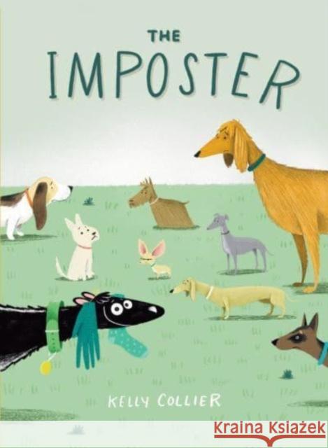 The Imposter Kelly Collier Kelly Collier 9780358697060 Clarion Books - książka