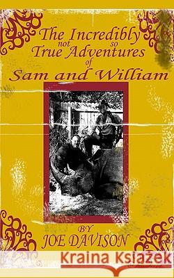 The Incredibly Not So True Adventures of Sam and William Joe Davison 9781449511685 Createspace - książka