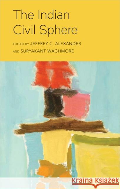 The Indian Civil Sphere  9781509563821 Polity Press - książka