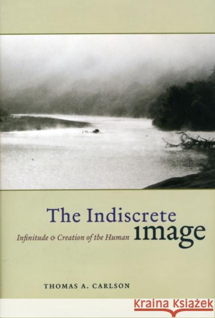 The Indiscrete Image: Infinitude and Creation of the Human Thomas A. Carlson 9780226093154 University of Chicago Press - książka