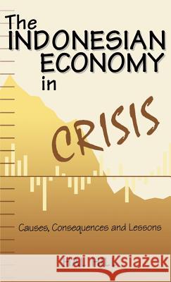 The Indonesian Economy in Crisis: Causes, Consequences and Lessons Na, Na 9780312228835 Palgrave MacMillan - książka