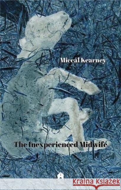 The Inexperienced Midwife Miceal Kearney 9781851321322 Arlen House - książka