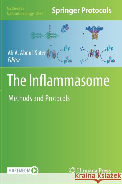 The Inflammasome  9781071621431 Springer US - książka