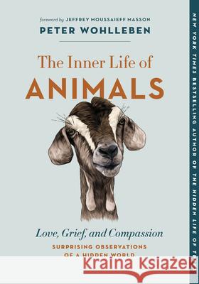 The Inner Life of Animals: Love, Grief, and Compassion--Surprising Observations of a Hidden World Peter Wohlleben Jeffrey Moussaieff Masson Jane Billinghurst 9781771648028 Greystone Books - książka