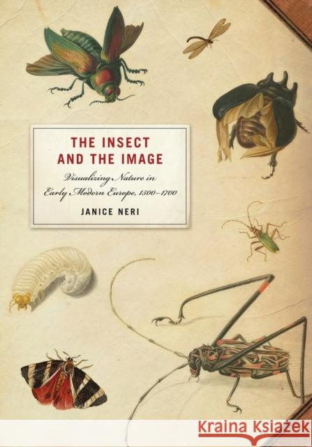The Insect and the Image: Visualizing Nature in Early Modern Europe, 1500-1700 Neri, Janice 9780816667659 University of Minnesota Press - książka