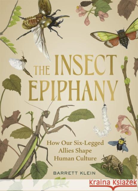 The Insect Epiphany: How Our Six-Legged Allies Shape Human Culture Barrett Klein 9781643261362 Workman Publishing - książka