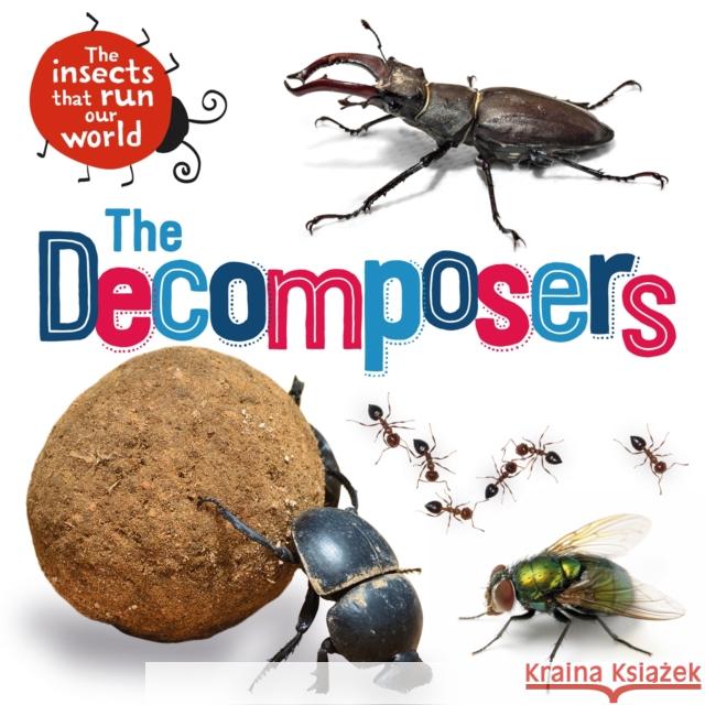 The Insects that Run Our World: The Decomposers Sarah Ridley 9781526314031 Hachette Children's Group - książka