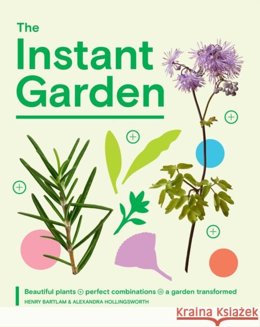 The Instant Garden: Transform Your Outdoor Space and Create Immediate Impact Alexandra Hollingsworth 9781837834525 Quadrille Publishing - książka