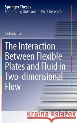 The Interaction Between Flexible Plates and Fluid in Two-Dimensional Flow Jia, Laibing 9783662436745 Springer - książka