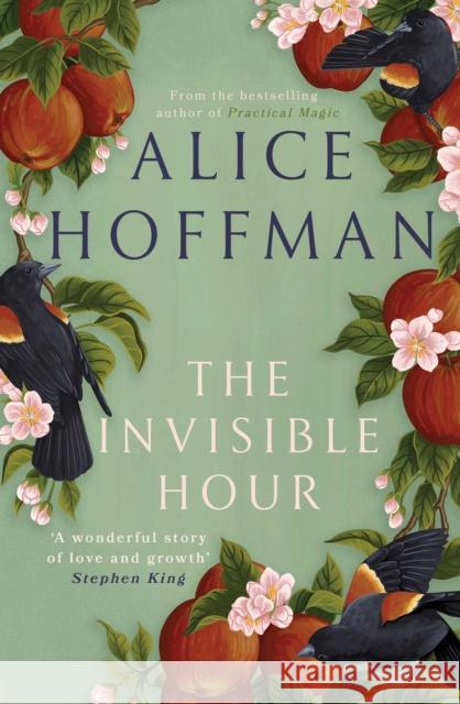 The Invisible Hour Alice Hoffman 9781398526181 Simon & Schuster Ltd - książka