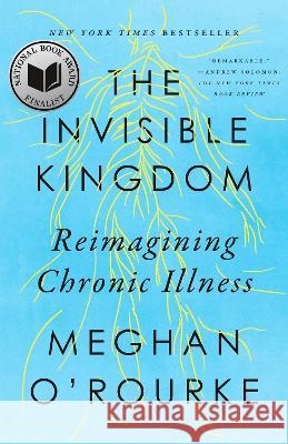 The Invisible Kingdom: Reimagining Chronic Illness Meghan O'Rourke 9780399573309 Riverhead Books - książka