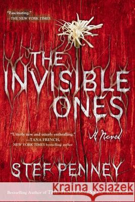 The Invisible Ones Stef Penney 9780425253212 Berkley Publishing Group - książka