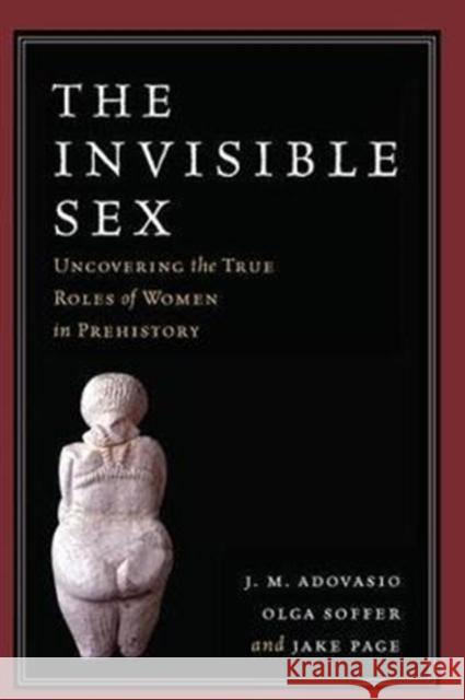 The Invisible Sex: Uncovering the True Roles of Women in Prehistory J. M. Adovasio 9781138404656 Routledge - książka