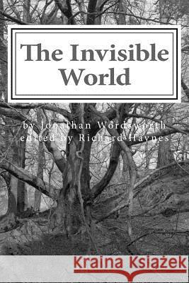 The Invisible World: Lectures on British Romantic Poetry and the Romantic Imagination Jonathan Wordsworth Richard Haynes 9781503290259 Createspace - książka