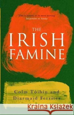 The Irish Famine: A Documentary Colm Toibin Diarmaid Ferriter London Review of Books 9781861974600 Profile Books - książka