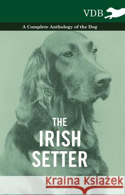 The Irish Setter - A Complete Anthology of the Dog Various 9781445526218 Vintage Dog Books - książka