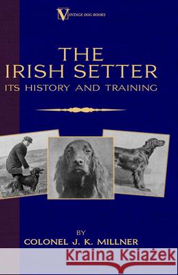 The Irish Setter - Its History & Training (A Vintage Dog Books Breed Classic) Colonel J. K. Millner 9781846640001 Vintage Dog Books - książka