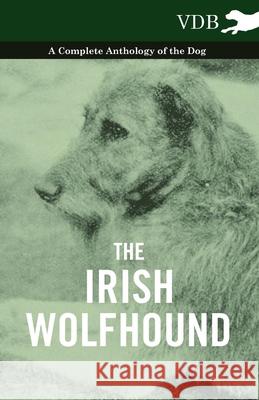 The Irish Wolfhound - A Complete Anthology of the Dog Various 9781445526249 Vintage Dog Books - książka