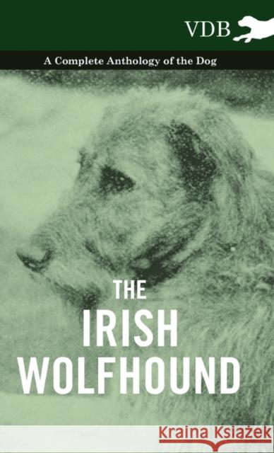 The Irish Wolfhound - A Complete Anthology of the Dog Various 9781445527444 Vintage Dog Books - książka