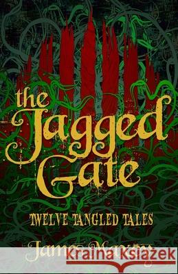 The Jagged Gate: Twelve Tangled Tales James Maxey 9781976137204 Createspace Independent Publishing Platform - książka