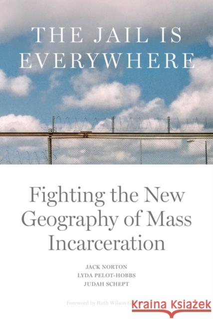 The Jail is Everywhere: Fighting the New Geography of Mass Incarceration Judah Schept 9781804291313 Verso - książka