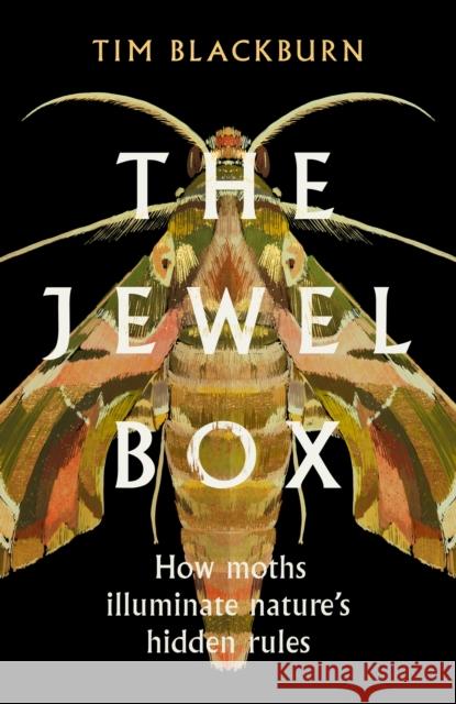 The Jewel Box: How Moths Illuminate Nature’s Hidden Rules Tim Blackburn 9781474624527 Orion Publishing Co - książka