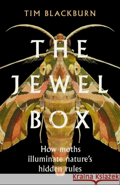 The Jewel Box: How Moths Illuminate Nature's Hidden Rules Tim Blackburn 9781474624534 Orion - książka