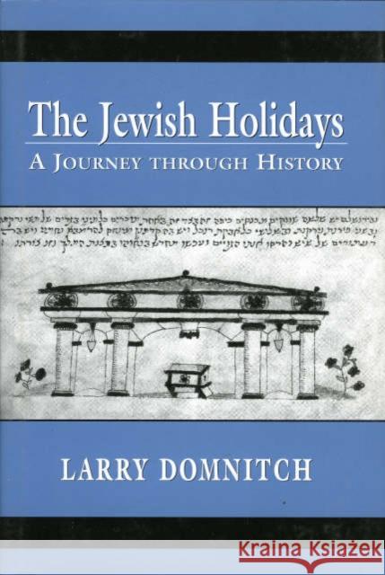 The Jewish Holidays: A Journey Through History Domnitch, Larry 9780765761095 Jason Aronson - książka