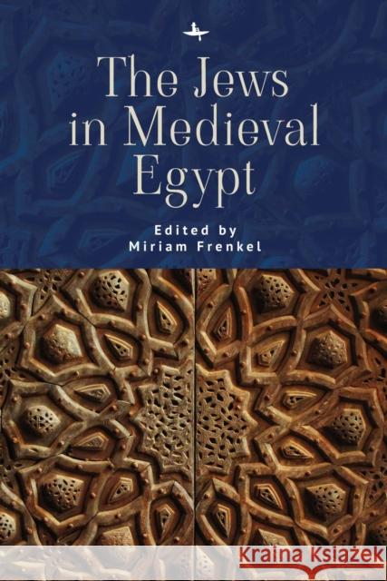 The Jews in Medieval Egypt Miriam Frenkel 9781618117465 Academic Studies Press - książka