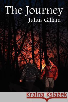 The Journey Julius Gillam 9781418406660 Authorhouse - książka