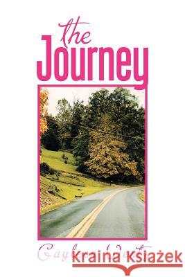 The Journey Gayleen Wentz 9781543478594 Xlibris Us - książka