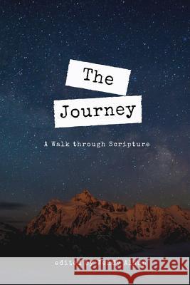 The Journey: A Walk through Scripture Alsup, Wendy 9781981489503 Createspace Independent Publishing Platform - książka