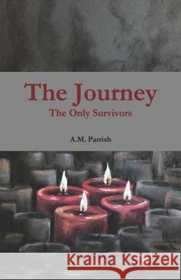 The Journey The Only Survivors Parrish, A. M. 9781521408971 Independently Published - książka