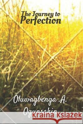 The Journey to Perfection Oluwagbenga Abiodun Ogunsakin   9798851391682 Independently Published - książka