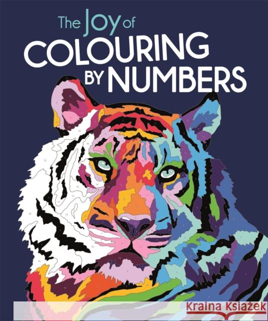 The Joy of Colouring by Numbers Lauren Farnsworth 9781789295030 Michael O'Mara Books Ltd - książka