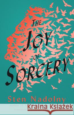 The Joy of Sorcery  9781589881464 Paul Dry Books - książka