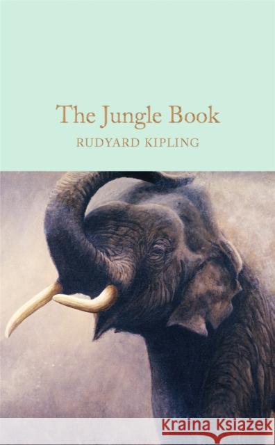 The Jungle Book Rudyard Kipling John Lockwood Kipling William Henry Drake 9781909621817 Pan Macmillan - książka