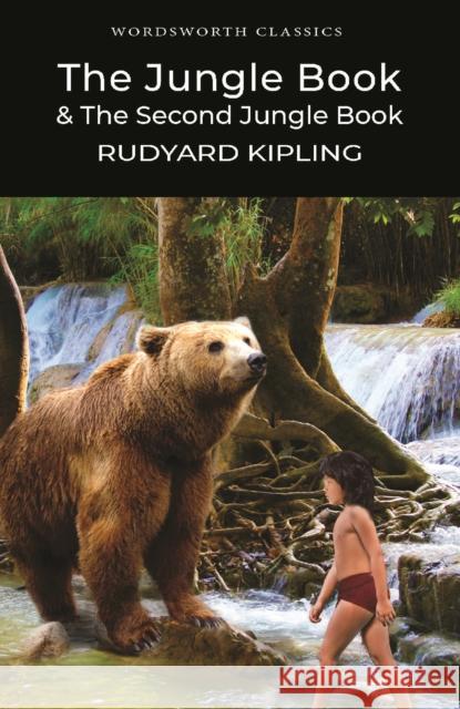 The Jungle Book & The Second Jungle Book Rudyard Kipling 9781840227550 Wordsworth Editions Ltd - książka