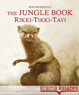 The Jungle Book: Rikki-Tikki-Tavi Rudyard Kipling 9781913519568 Hachette Children's Group - książka