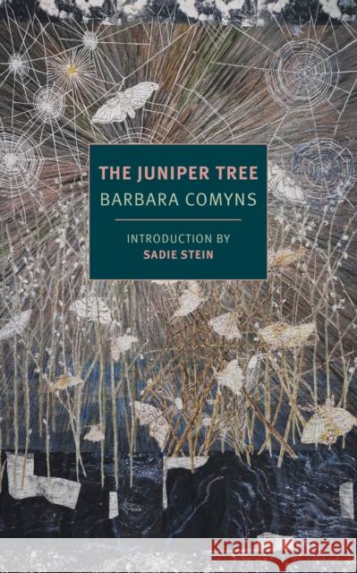 The Juniper Tree Barbara Comyns Sadie Stein 9781681371313 The New York Review of Books, Inc - książka