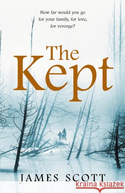 The Kept James Scott 9780099559047 Windmill Books - książka