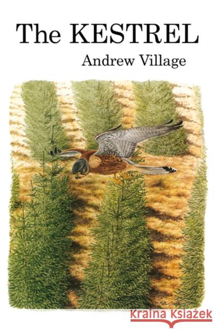 The Kestrel Andrew Village 9781408138205 Bloomsbury Publishing PLC - książka